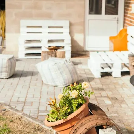 Charming House In With Garden View