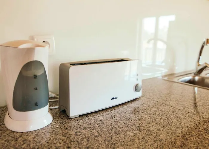 Charming House In With Garden View * Ponte de Vagos